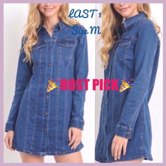 Dresses & Skirts - BLUE DENIM PRINCESS LINE BUTTON UP DRESS